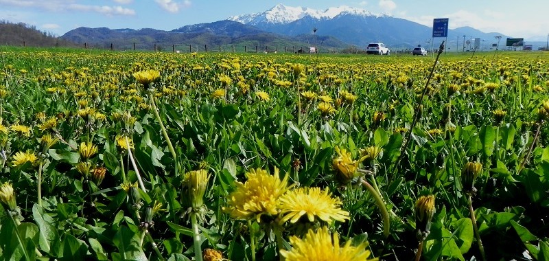 Best time to visit Romania