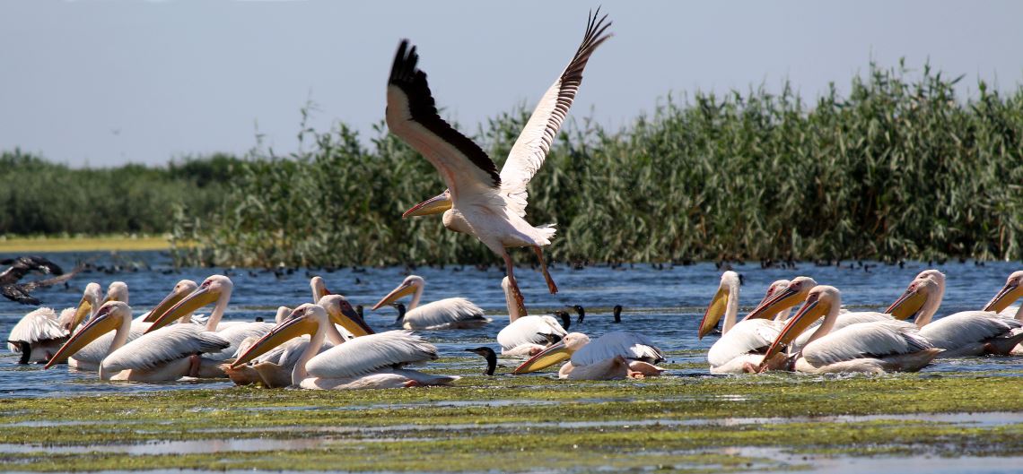 sustainable tourism in Romania