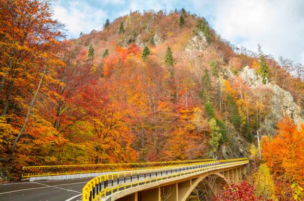 Transfagarasan in autumn