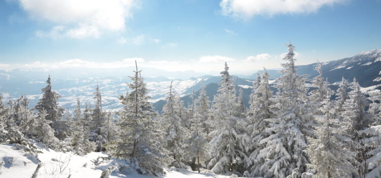 Winter in Romania
