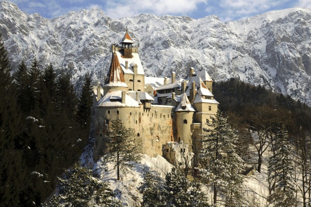 bran castle snow romania