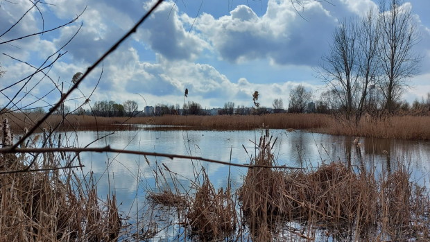 Vacaresti nature park Bucharest