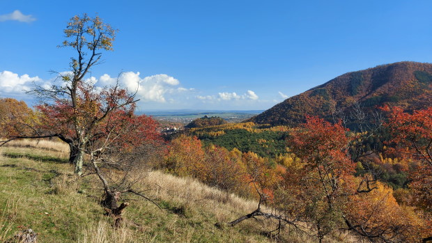 Autumn in Transylvania