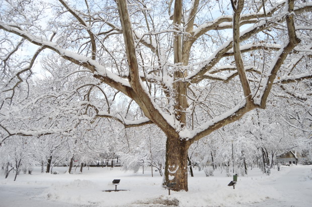 Bucharest snow