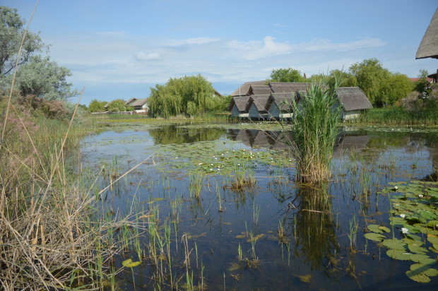 Dobrogea and Danube delta with kids