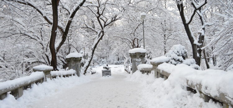 Winter in Bucharest