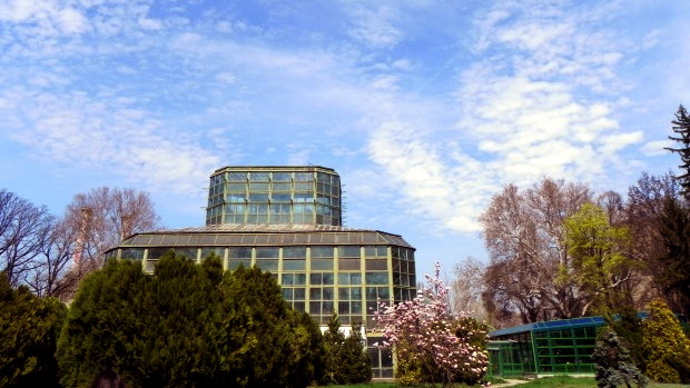 Bothanical garden Bucharest Wednesday filming locations