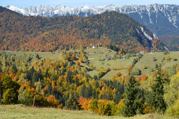 Pestera village