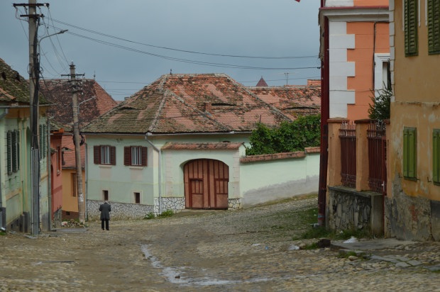 Rasinari