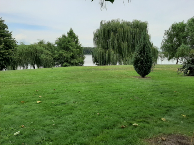 Chitila-park