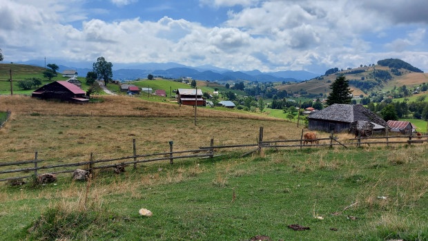 Honeymoon in Transylvania countryside