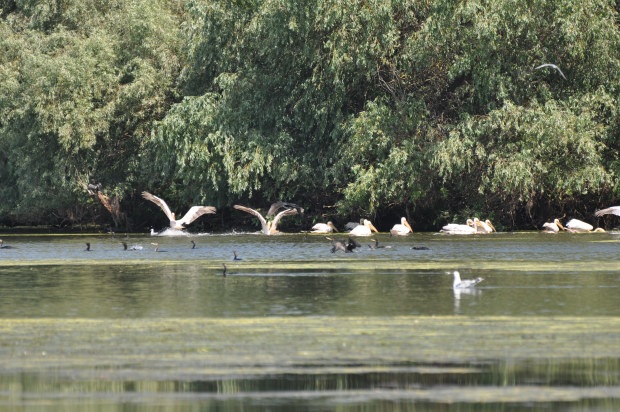 Couple adventure in Danube Delta