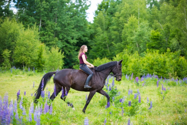 romania horseback riding