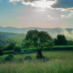 6 days in Romania itinerary
