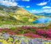 Choose the best tour in Romania