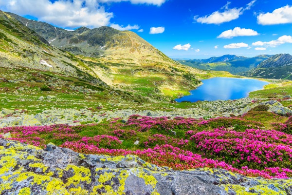 Choose the best tour in Romania