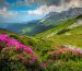 Reasons to visit Romania